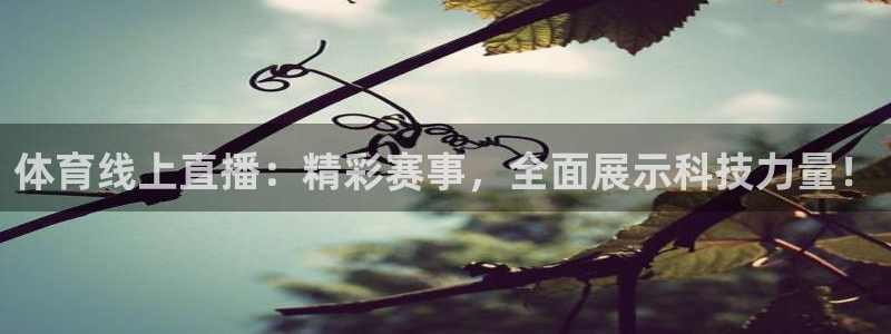 体育线上直播：精彩赛事，全面展示科技力量！