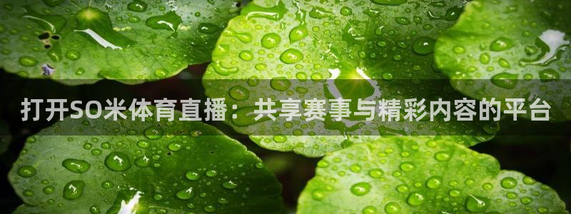 打开SO米体育直播：共享赛事与精彩内容的平台